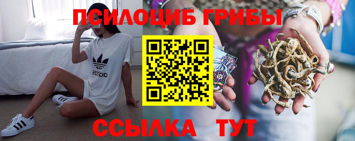 Псилоцибиновые грибы MAGIC MUSHROOMS  Псилоцибиновые грибы Psilocybine cubensis  Грозный  где купить наркотик  Вход с VPN 